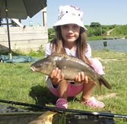 Floarea Popestiului 20 - 20 iun.